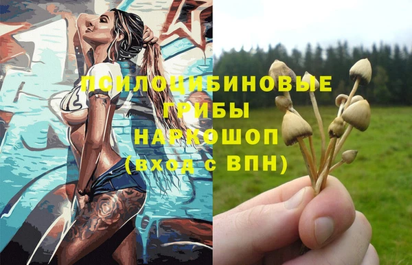 бутират Алексин