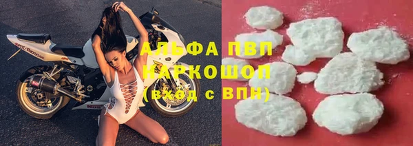 спиды Абаза
