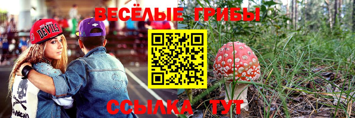 Мефедрон кристаллы  Канабис  Касимов  LSD-25  ГАШИШ  Марихуана  APVP СК кристаллы  Вход с VPN 