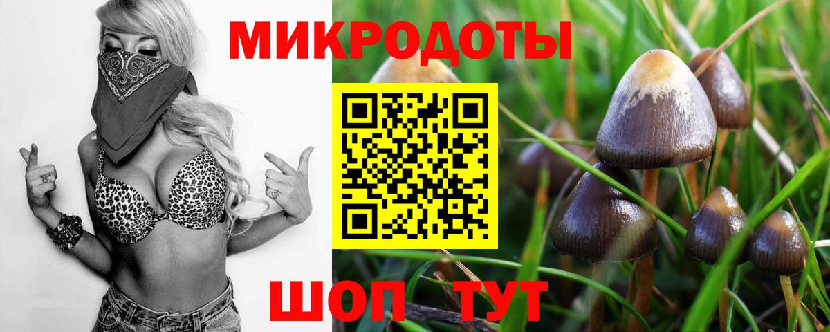 Галлюциногенные грибы Magic Shrooms  Вход с VPN  Касимов 
