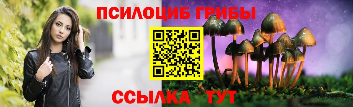 Псилоцибиновые грибы мухоморы Касимов